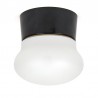 Raak Amsterdam kleine vintage plafond of wandlamp